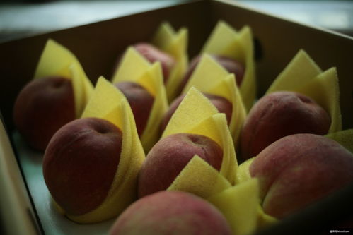 自然之禮 桃、蘋果與覆盆子的美食攝影魅力